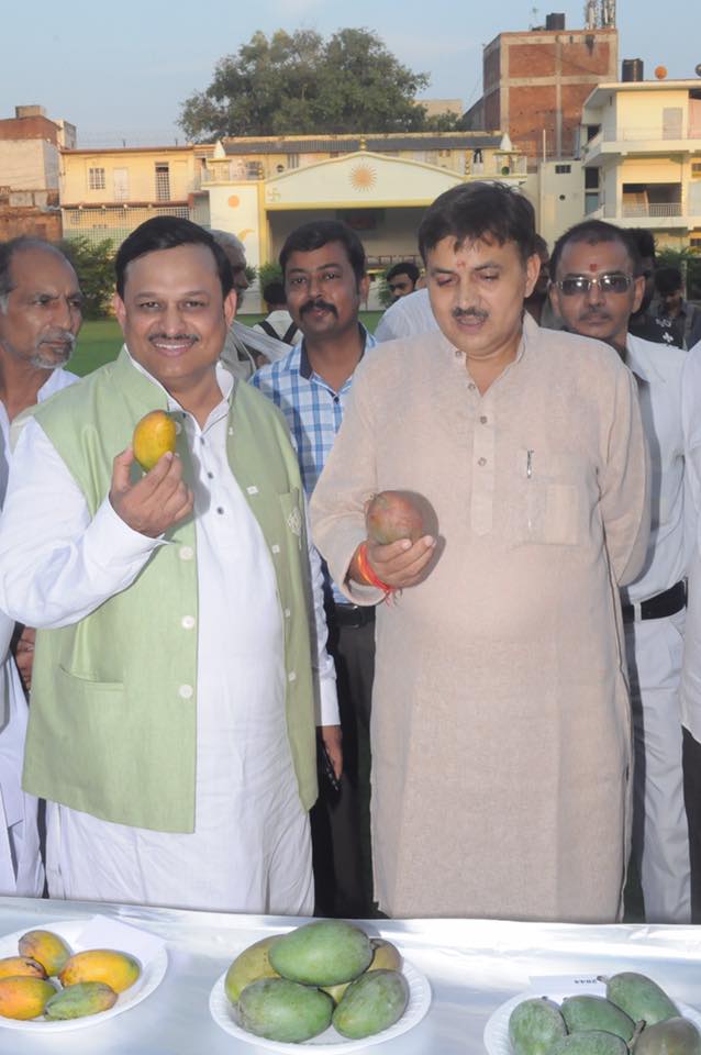 19961359 1906961329629745 2807774933088539542 n