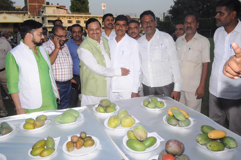 19989537 1906961512963060 294805689658043952 n