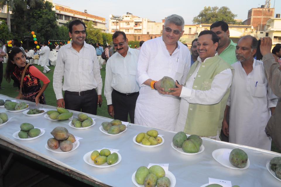 19989735 1906961446296400 8176434711952607423 n