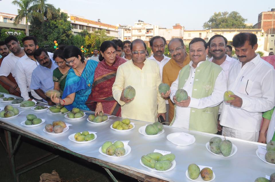 19990142 1906961182963093 1397926864558521923 n