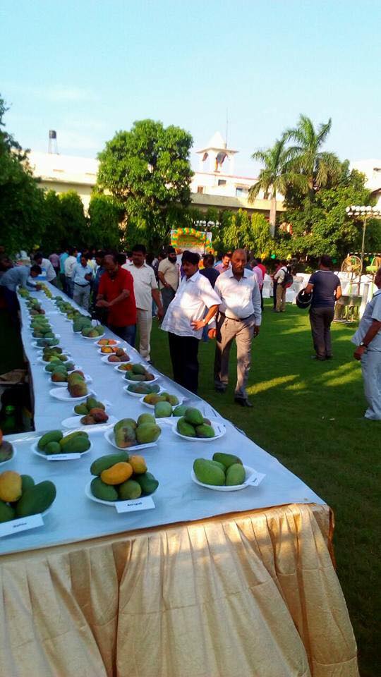 20139785 1906959199629958 4029851619614904554 n