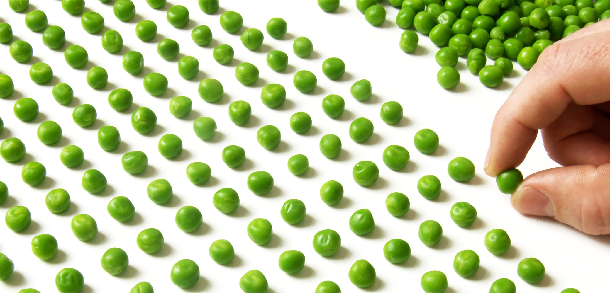 OCD का इलाज करने में करें ख़ुद की मदद 26 ocdgreen