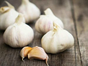 garlic
