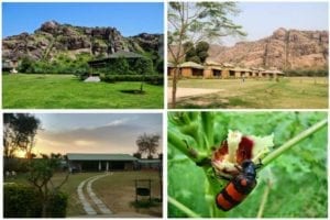 pjimage 7 1538889291