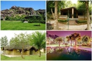 pjimage 8 1538889280