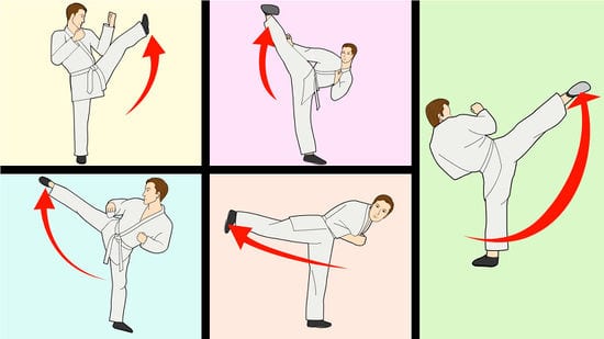 550px nowatermark Teach Yourself the Basics of Karate Step 10 Version 2