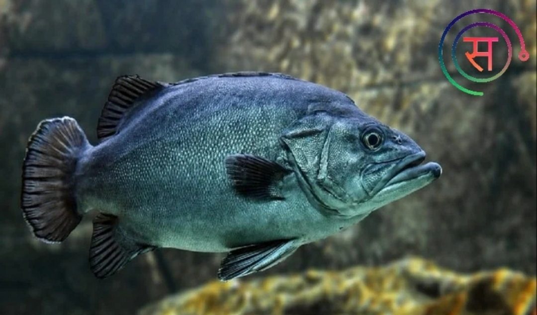 IMG 20201212 082539 e1607857901708