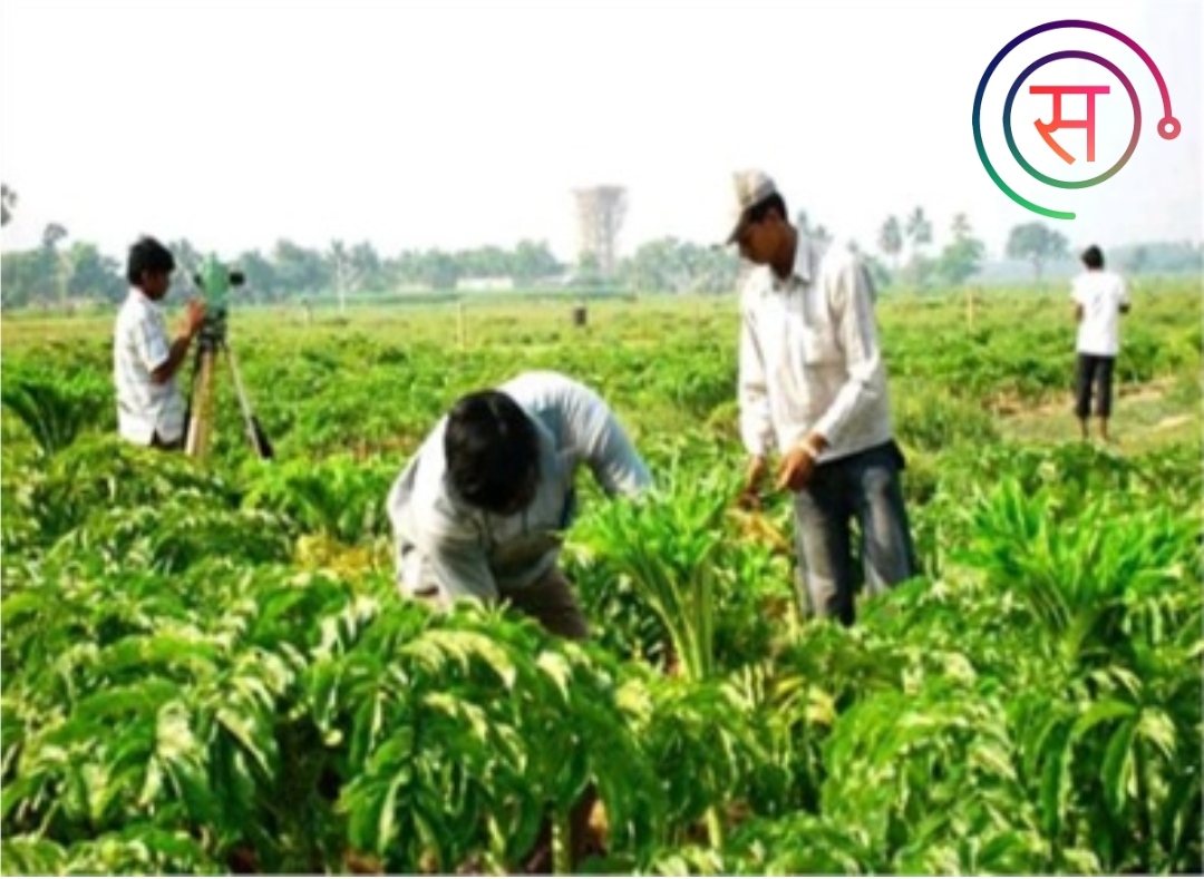 Technology in Farming