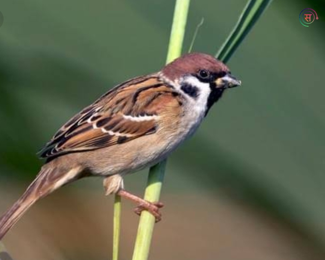 Good Farmers Partner