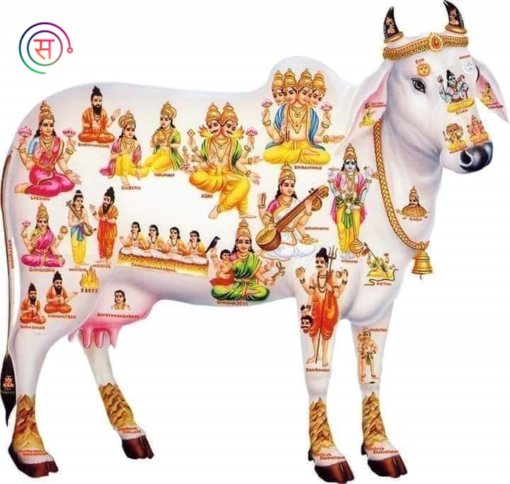 Significance of Cow in Hindu Religion