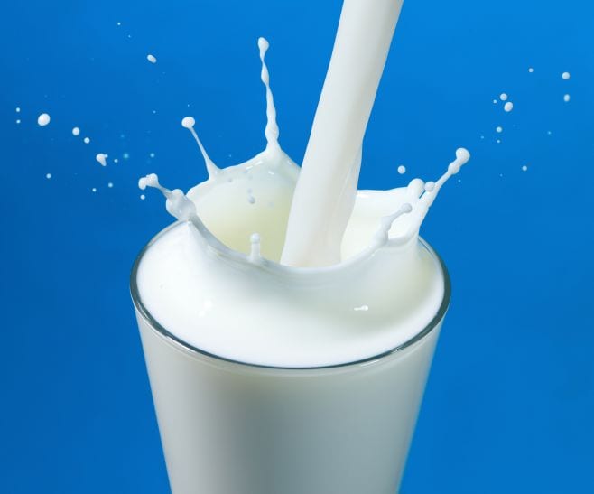milk 12