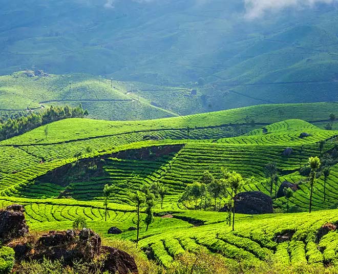 must visit travel destinations in kerala inside 4